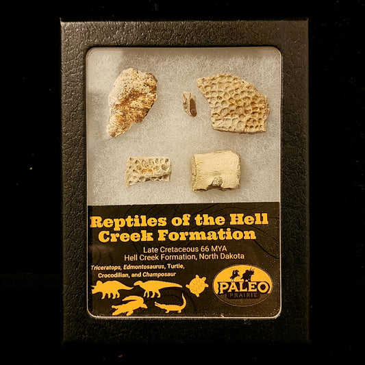 Reptiles of the Hell Creek Formation fossil set